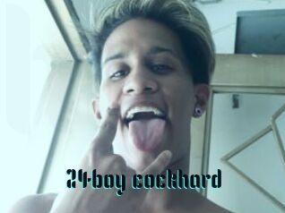 24boy_cockhard
