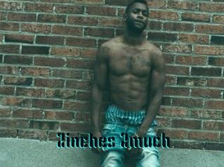 2inches_2much