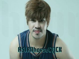 ASIANhorseCQCK