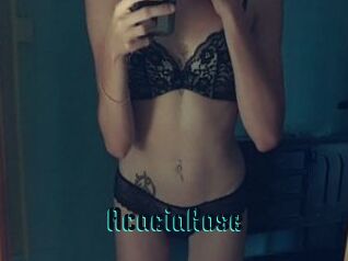 AcaciaRose