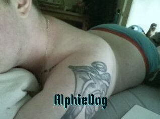 Alphie_Dog
