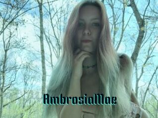AmbrosiaMae