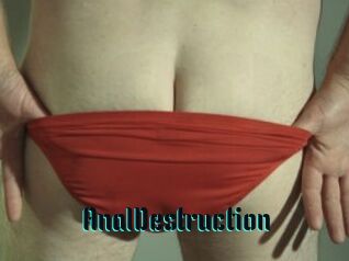 Anal_Destruction