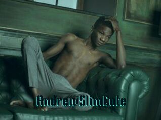 AndrewSlimCute