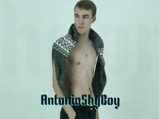 AntonioShyBoy