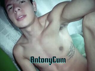 AntonyCum