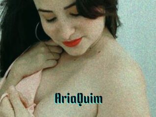 AriaQuim