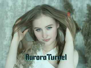 AuroraTurnel