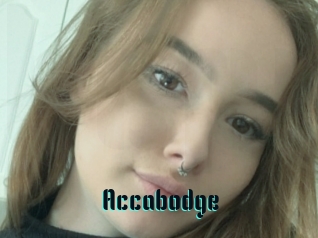 Accabodge
