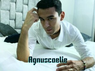 Agnuscaelie