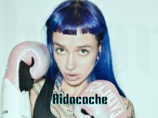 Aidacache