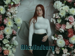 Alicelindberg