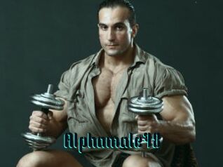Alphamale78