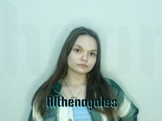 Althenagales