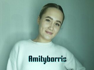 Amitybarris