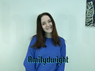 Amitydwight