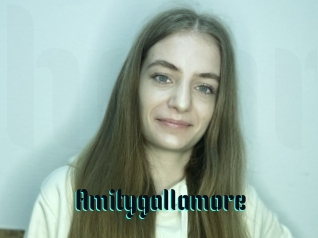 Amitygallamore