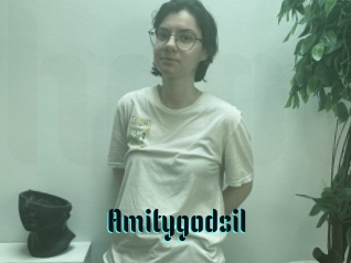Amitygodsil