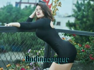 Andinacooper