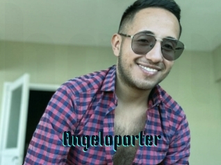 Angeloporter