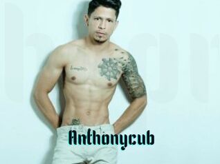 Anthonycub
