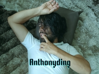 Anthonyding