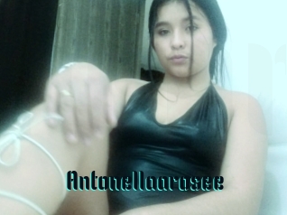 Antonellaarosee