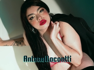 Antonellacontti