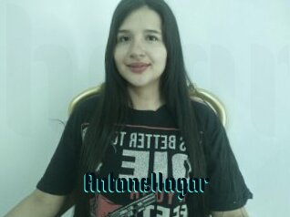 Antonellagar