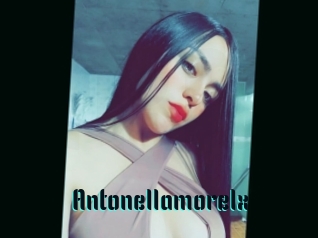 Antonellamorelx