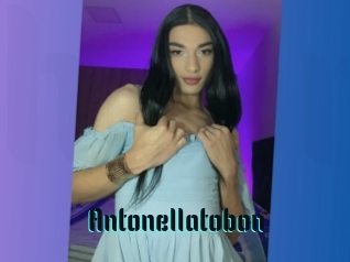 Antonellatobon