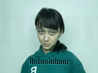 Antoniaboor