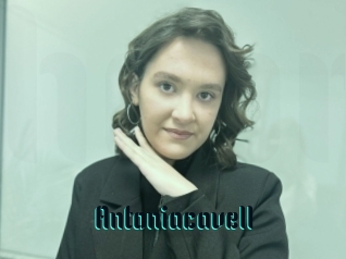 Antoniacavell