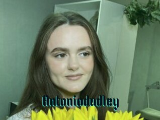 Antoniadudley