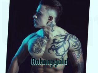 Antonygold