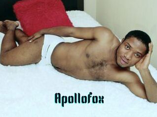 Apollofox