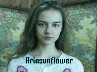 Ariasunflower