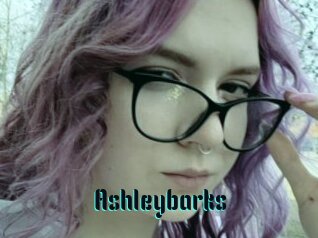 Ashleybarks