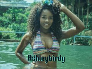 Ashleybirdy