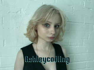 Ashleycodling