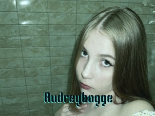 Audreybagge