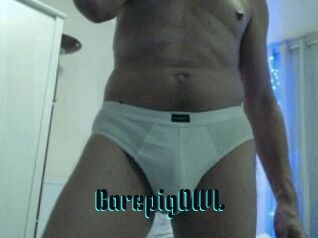 BarepigOWL