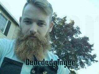 Beardedginger