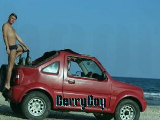 BerryBoy