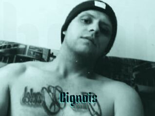 Bignois