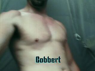 Bobbert