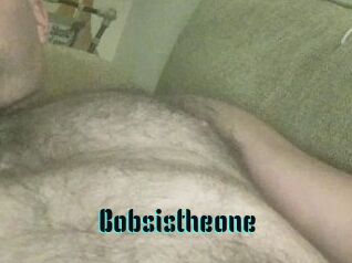 Bobsistheone