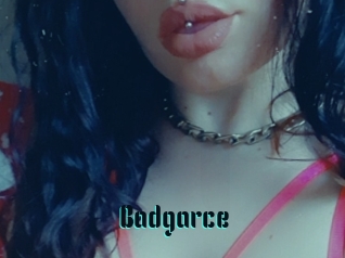 Badgarce