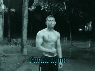 Baruwayne