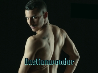 Bastionwonder